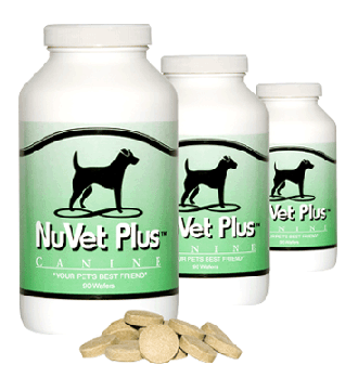 nuvet1