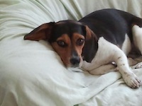 billy