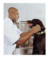 doc-doctor1