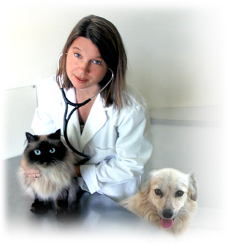 pet doctor