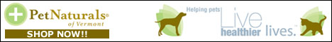 pn-banner-468x60